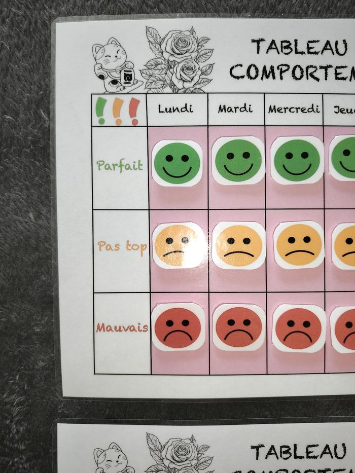 2 fiches comportement - photo numéro 2