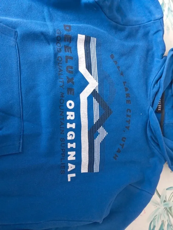 Sweat à capuche bleu électrique 12 ans - photo numéro 3