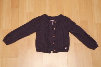 Gilet violet