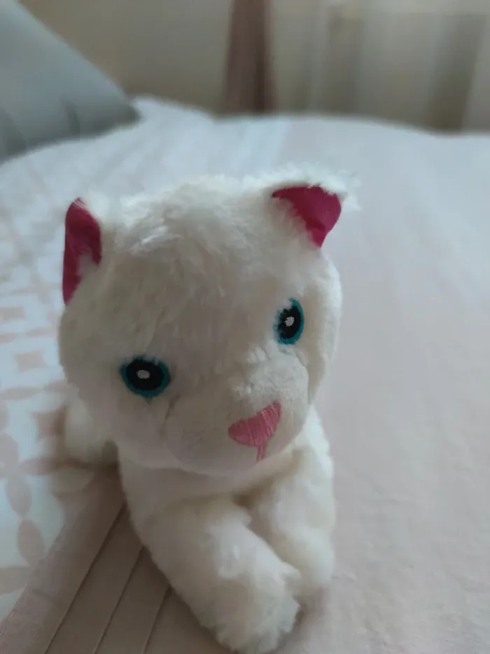 Peluches Chat - photo numéro 5