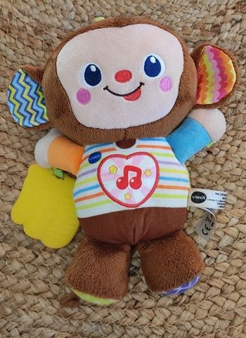 Noé petit singe d'activités