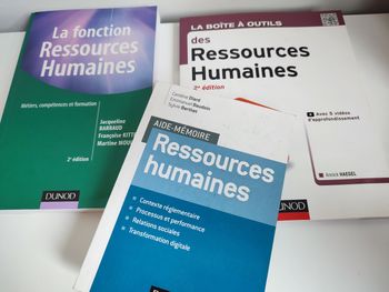 Lot livres ressources humaines