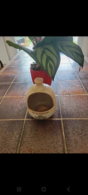 Rangement Sel de Guérande avec cuillère