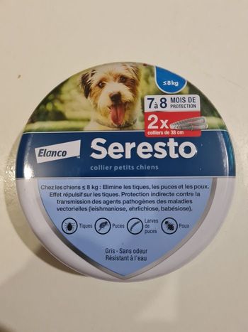 ERESTO PETIT CHIEN