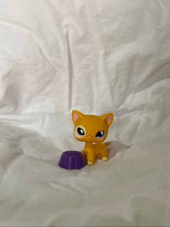 lps chat européen