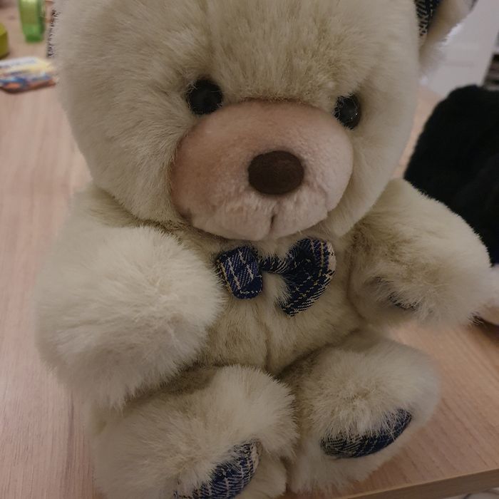Ourson en peluche douce - photo numéro 2