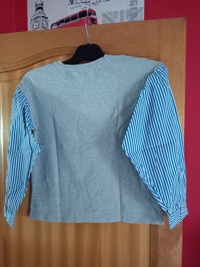Maillot gris, manches à lignes bleues 12ans - photo numéro 2