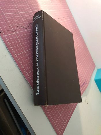 les oiseaux se cachent pour mourire