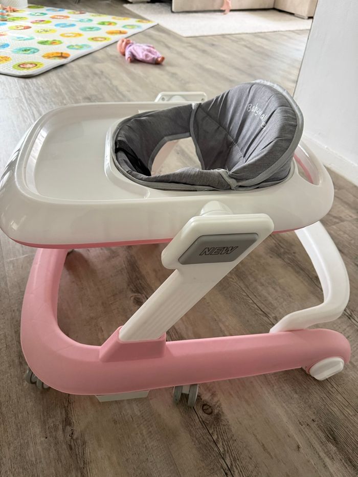 trotteur - photo numéro 2