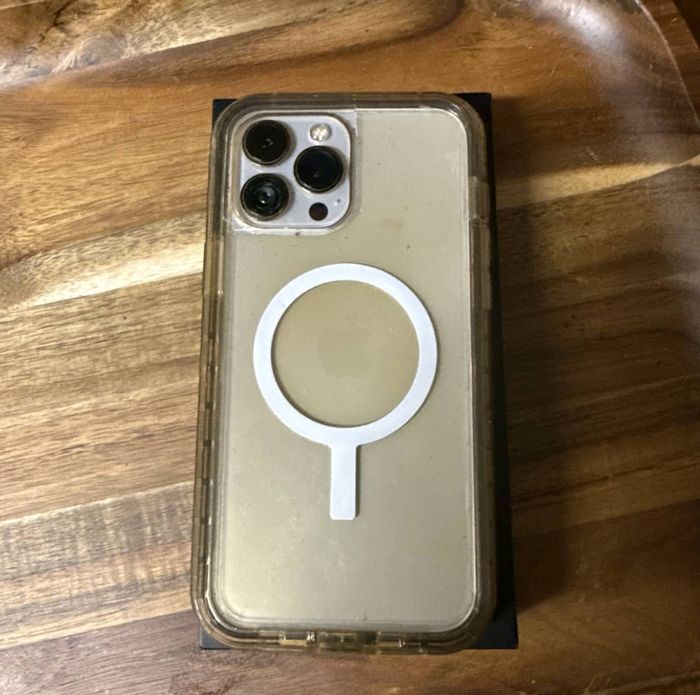 I p h o n e  13  p r o  m a x - photo numéro 3