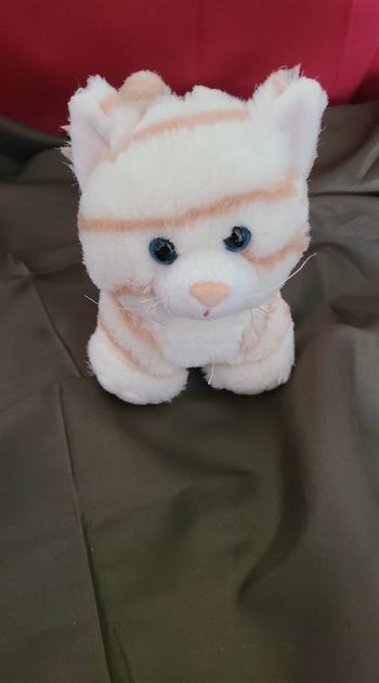 doudou chat siplec ligné roux