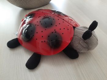 Veilleuse constellations coccinelle rouge Cloud B 