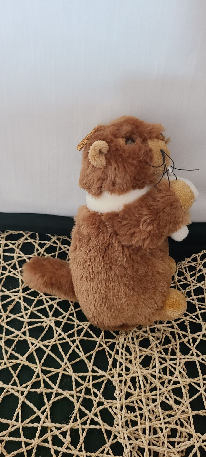 Marmotte peluche Sandy - photo numéro 2