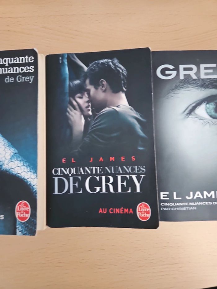 Cinquante nuances de grey - photo numéro 4