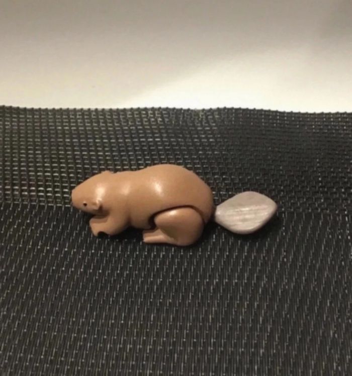 Playmobil figurine Castor Wiltopia très bon état comme neuf animaux sauvages - photo numéro 2