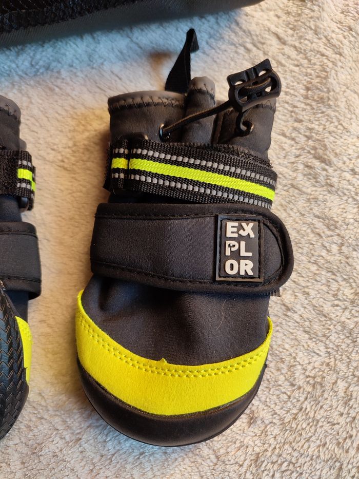 Chaussures pour chien - photo numéro 4