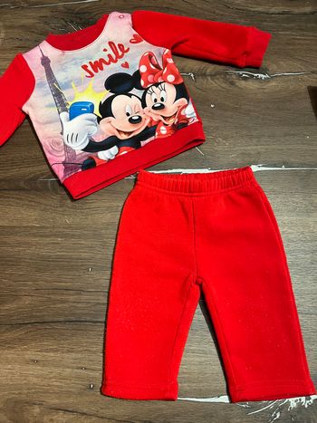 Ensemble Mickey et Minnie polaire