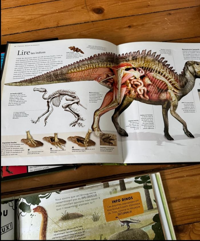 Lot livres sur les dinosaures 🦖 - photo numéro 2