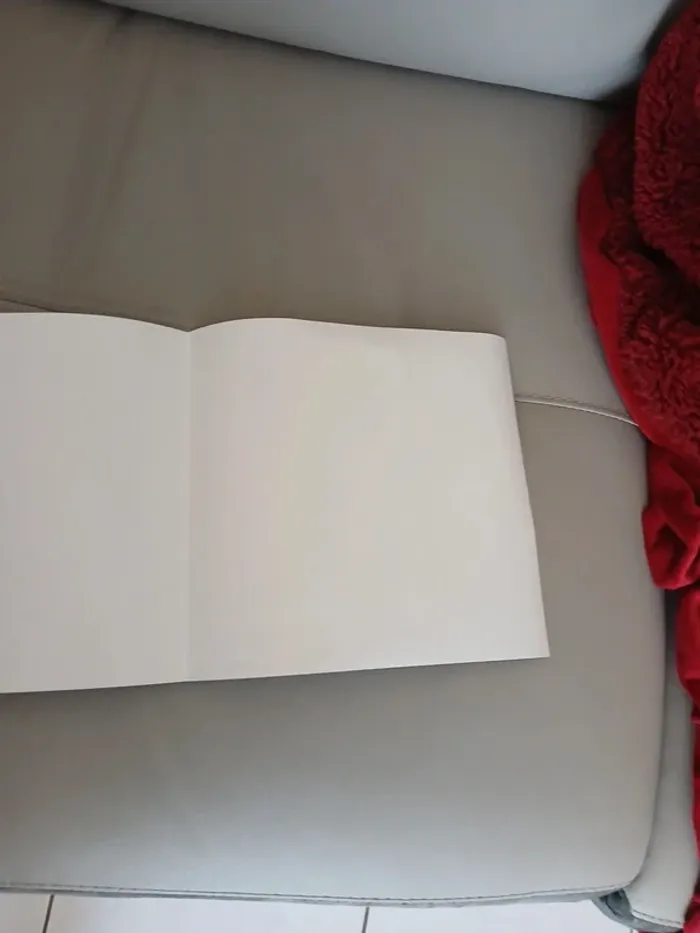 Jaquette Collector Vinland Saga bronze - festival de la bd - photo numéro 5