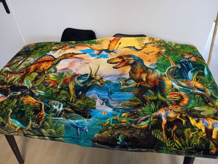 Tapis dinosaures - photo numéro 2
