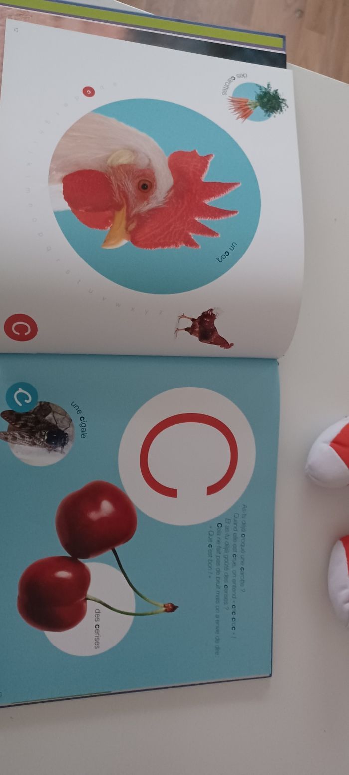 Livre les lettres neuf. - photo numéro 5