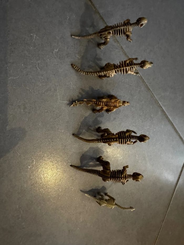 Lot de 6 squelettes de dinosaures: 1 Pachycephalosaure / - photo numéro 4