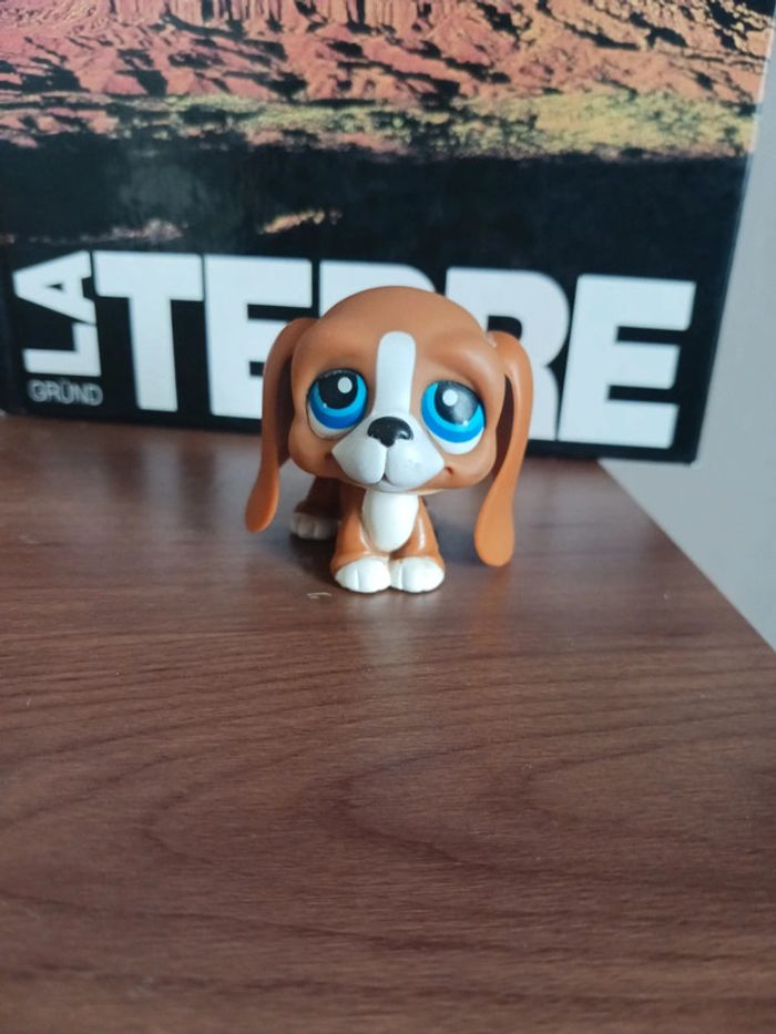 Petshop rare basset hound #222 - photo numéro 4