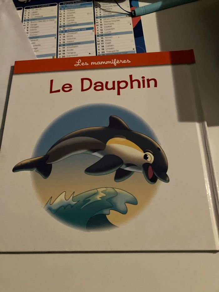 Le dauphin - photo numéro 2
