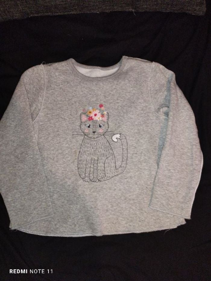 Pull polaire