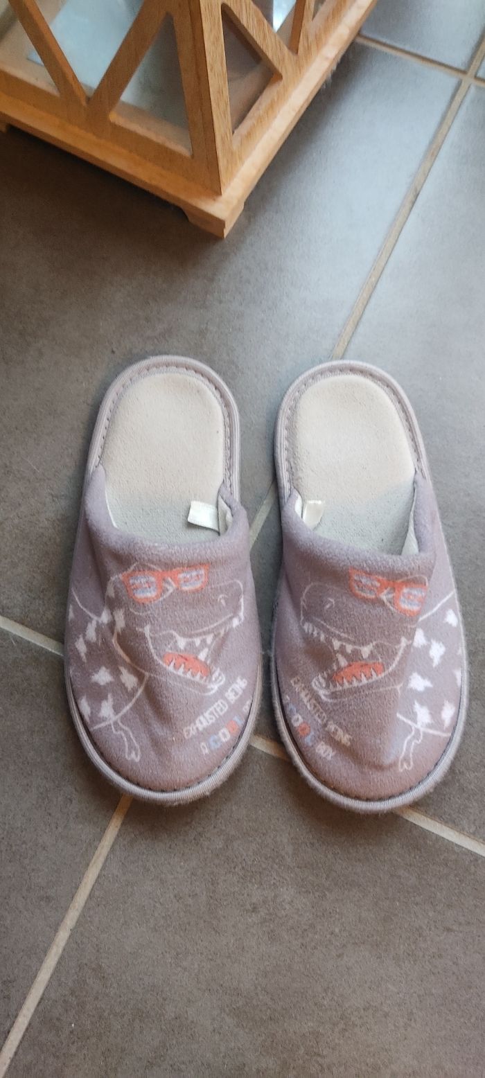 Chaussons dinosaures pointure 34-35