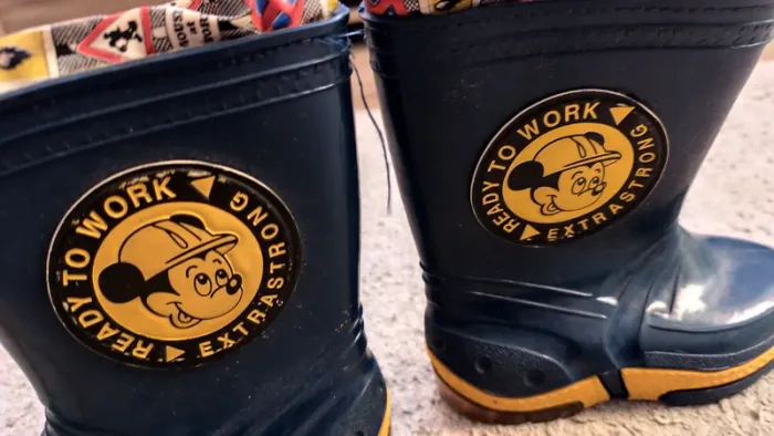 Bottes - photo numéro 4