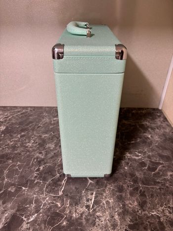 Taylor Swift vinyl case