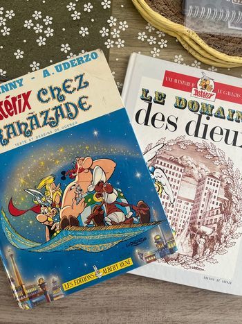 Lot deux BD Astérix 