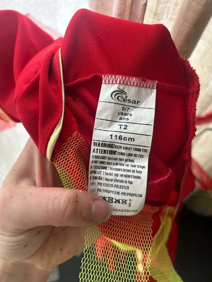 Déguisement fée / elfe de Noël - photo numéro 3