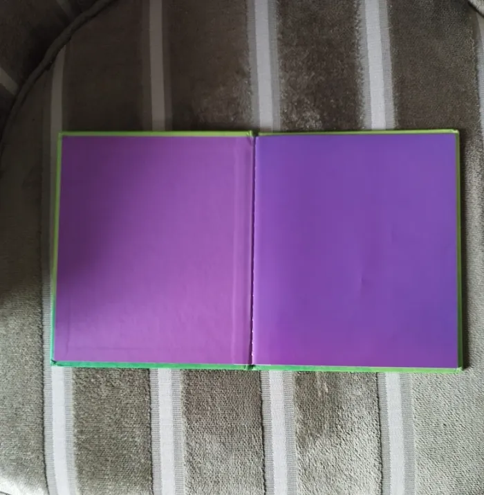 Livre pour enfant - photo numéro 2