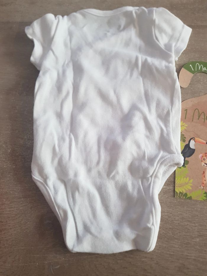 Bodies Orchestra - photo numéro 2