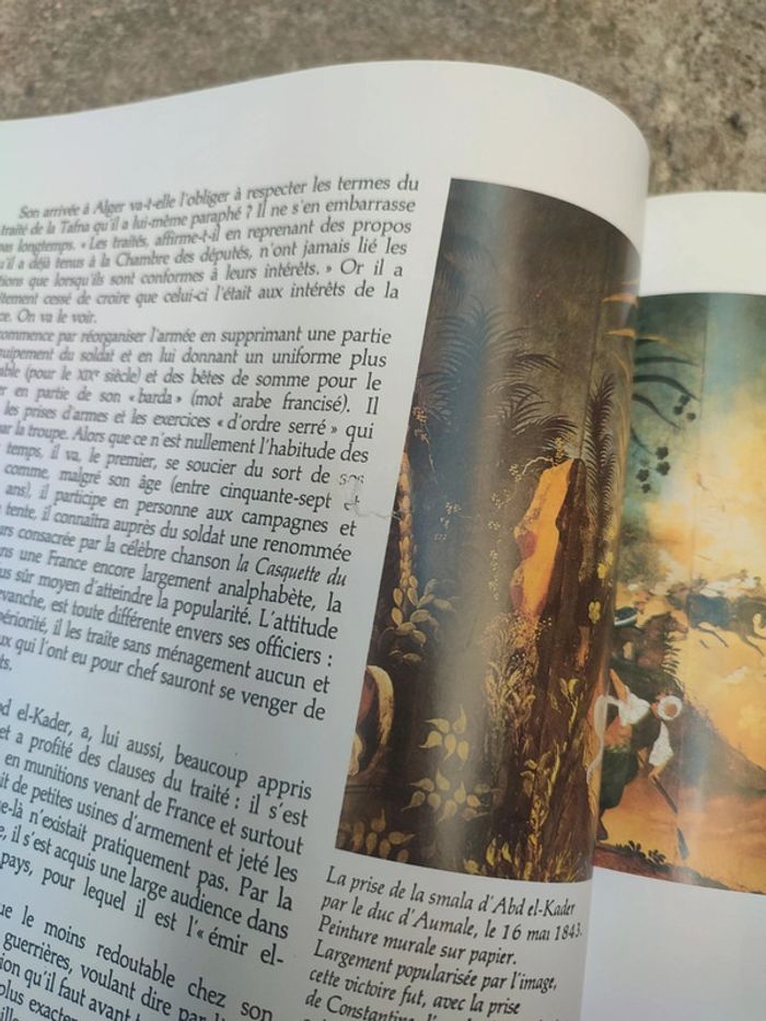 Livre l'Algérie des français - photo numéro 12