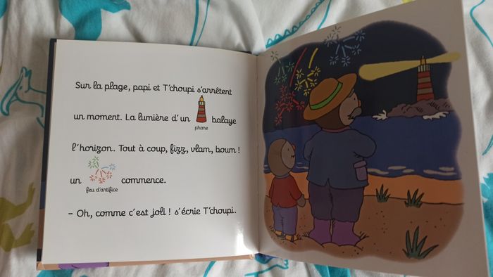 Lot 17 livres T'choupi - photo numéro 5