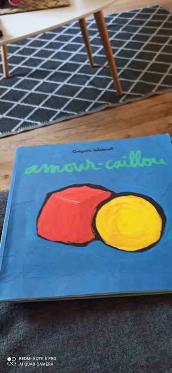 Livre amour caillou
