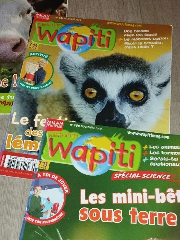 Lot de 7 magazines Wapiti année 2008-09 L025 - photo numéro 8