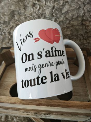 Tasse Idée Cadeau Saint Valentin - Viens on s'aime toute la Vie