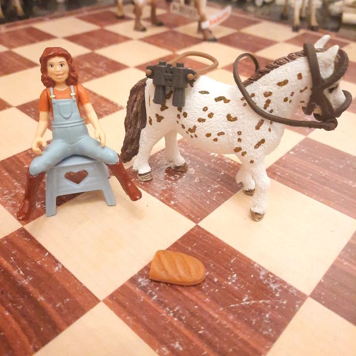 Schleich horse club - photo numéro 4