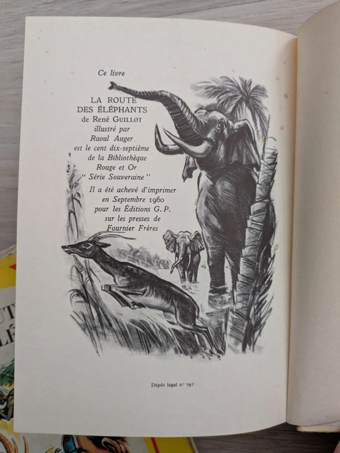 La route des éléphants rouge et or - photo numéro 4