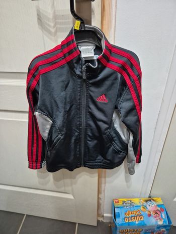 Veste adidas grise