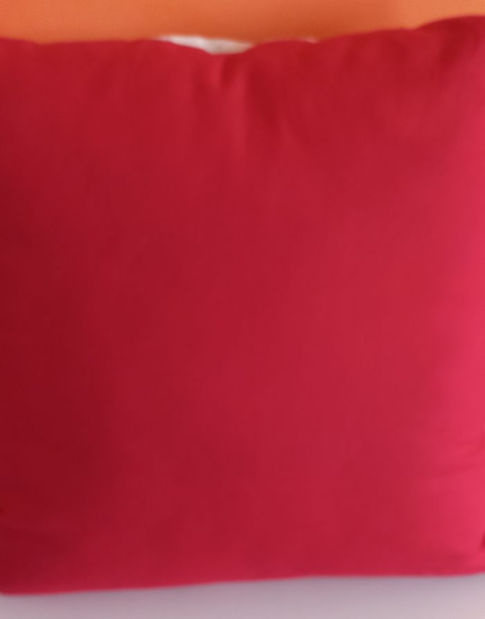 Coussin neuf chiens en balade - photo numéro 4