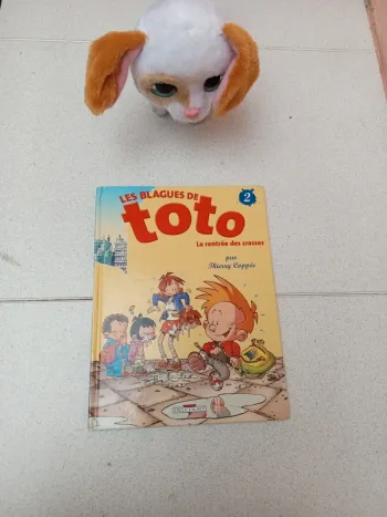 Livre les blagues de toto