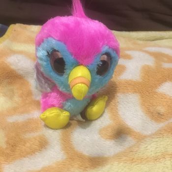 Peluche