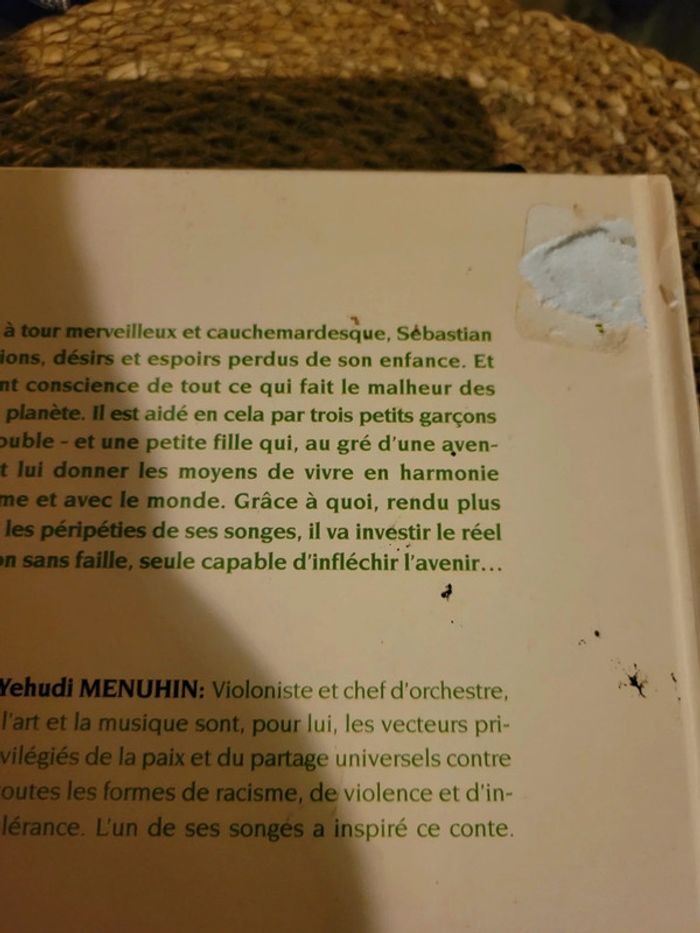 Les enfants du rêve. - photo numéro 6