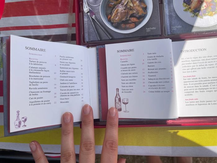 Coffret 4 livres sur l’accord es vins - photo numéro 3