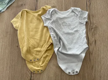 Lot 2 bodies